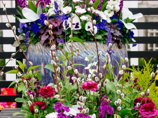 container of annual plants