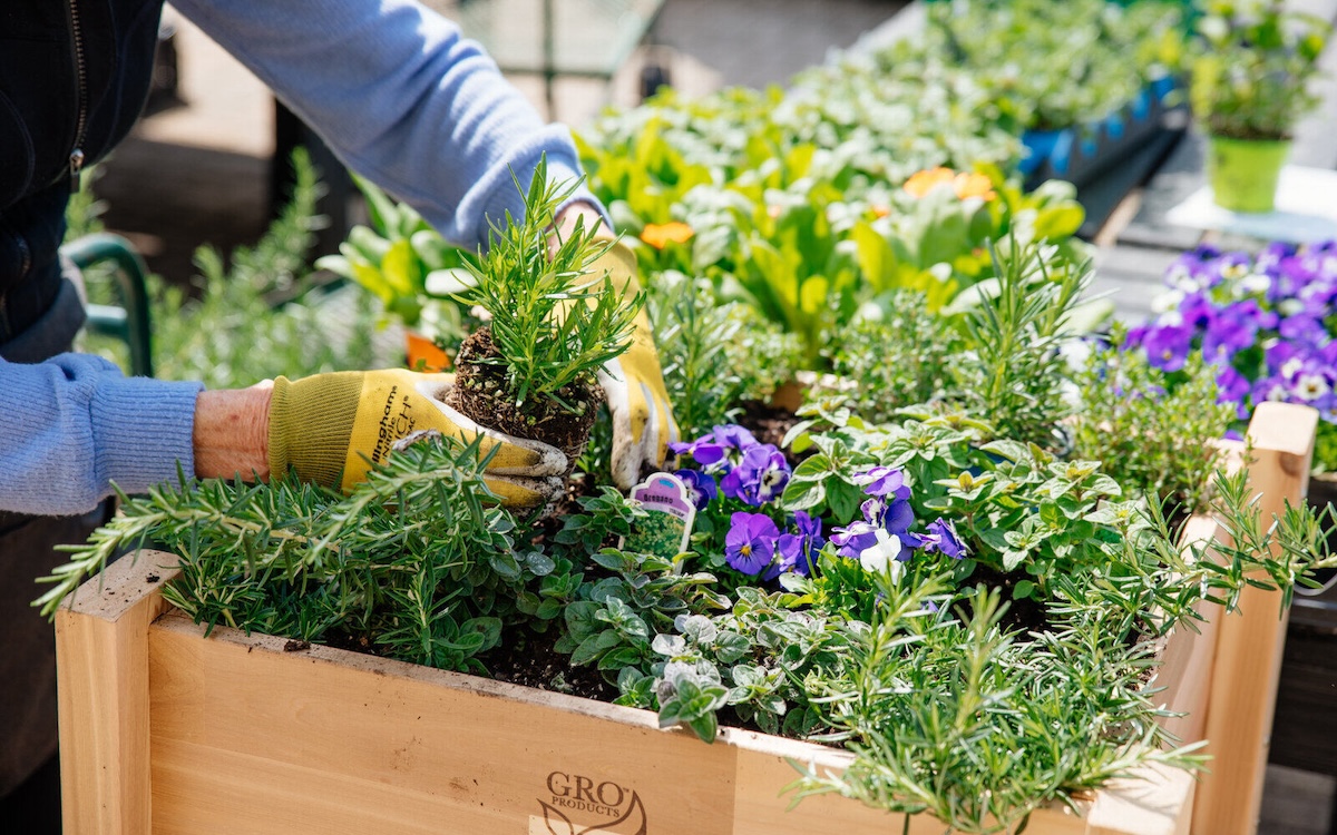 gardening