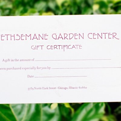 two hands holding a Gethsemane gift certificate