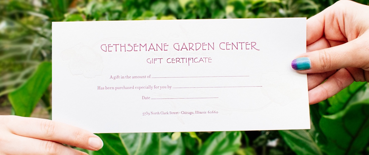 two hands holding a Gethsemane gift certificate