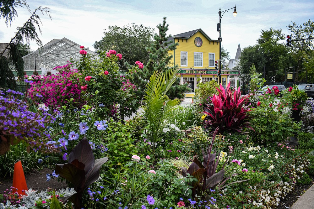 lush garden of various plants across from the yellow wild pansy gift shop