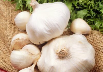 Several garlic bulbs arranged on burlap