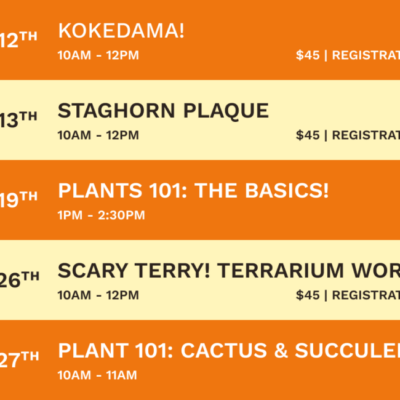 Graphic describing fall class schedule