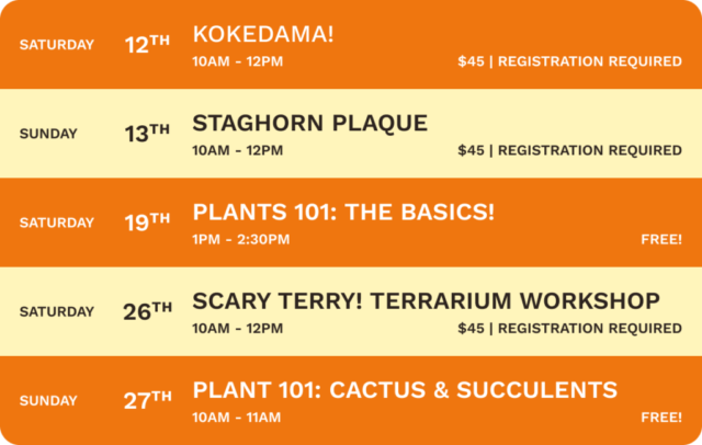 Graphic describing fall class schedule