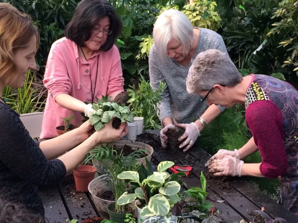 03/15/2025 - Classic Kokedama Workshop - Image 2