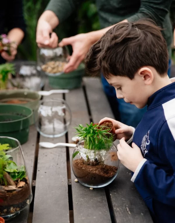 03/16/2025 - Terrariums for Kids!