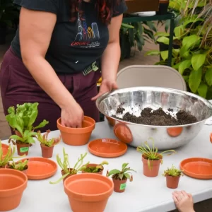 bog-making-workshop