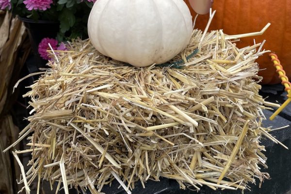 fall-haybales